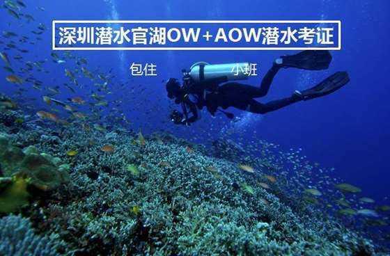 青春没有售价,金顶直通山下